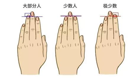 裂紋 手指長度代表